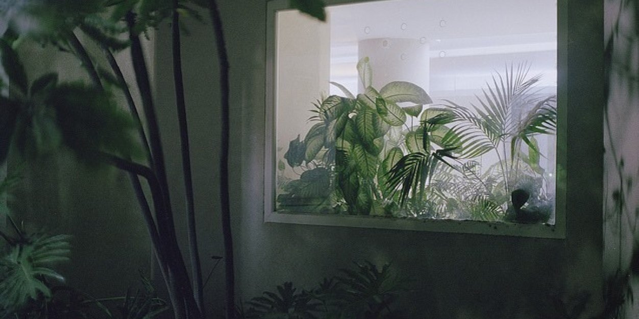 rose_rubens's profile banner image