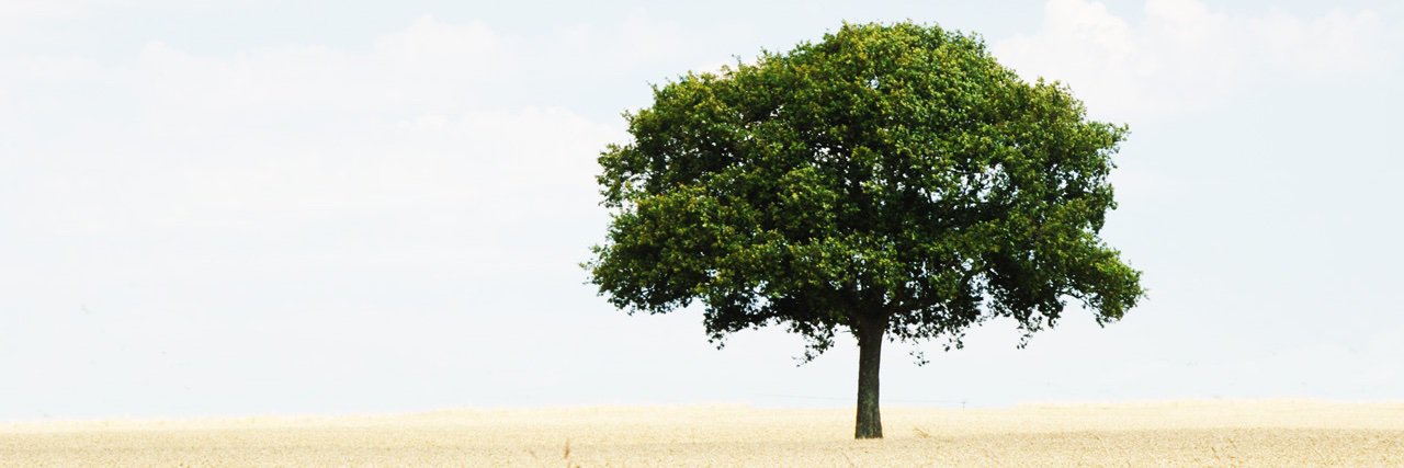ggilespayne's profile banner image