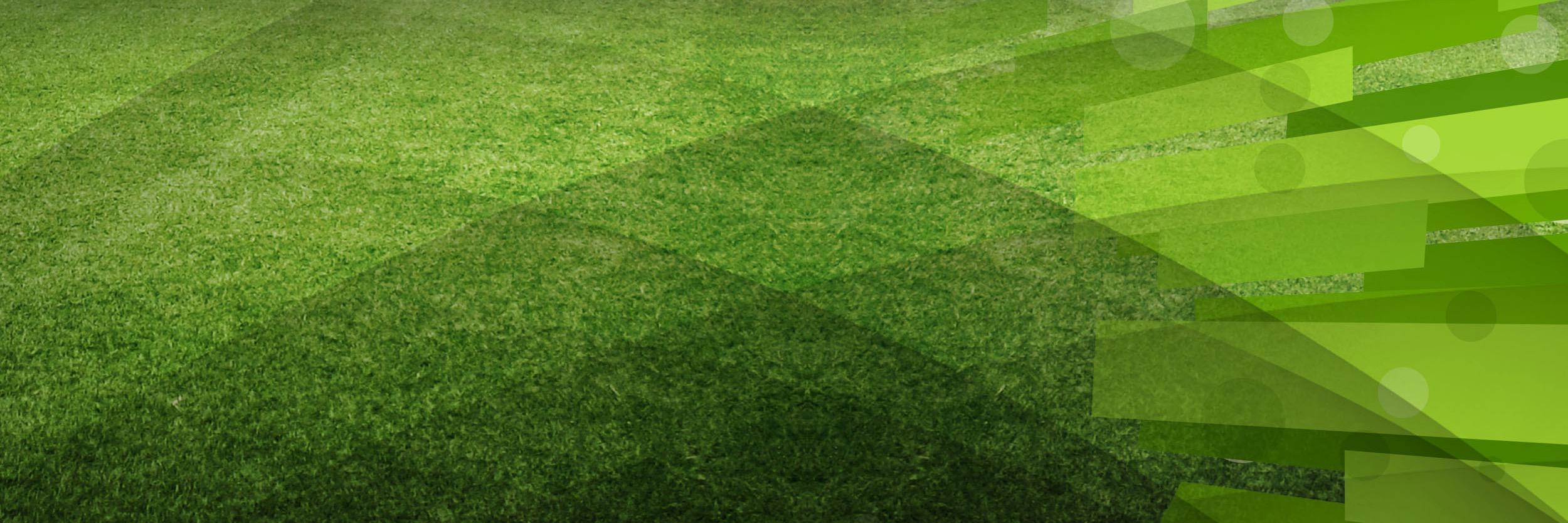 Decio de María banner