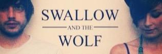 SwallowWolf's profile banner image