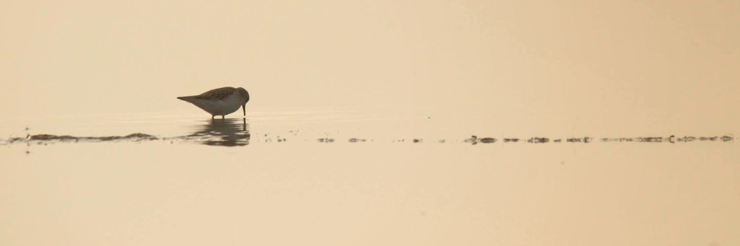 GokulanCG's profile banner image