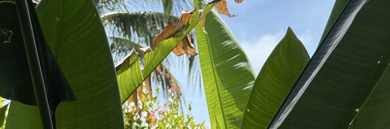 OAlmusaileem's profile banner image