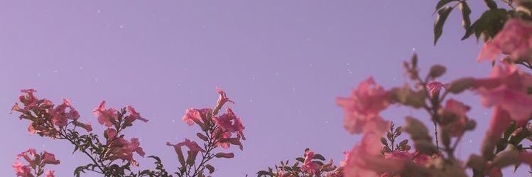 ximebuor's profile banner image