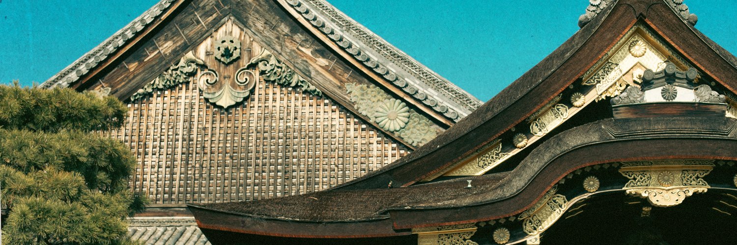 🎥🎬cool🐅🐯 banner