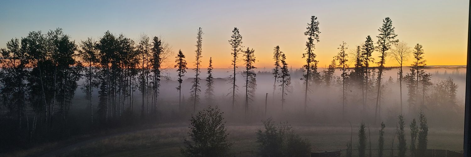 fridhed's profile banner image
