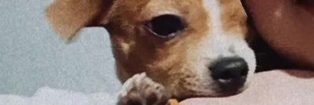Strokey_'s profile banner image