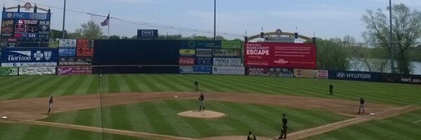 dolfin419 Profile Banner