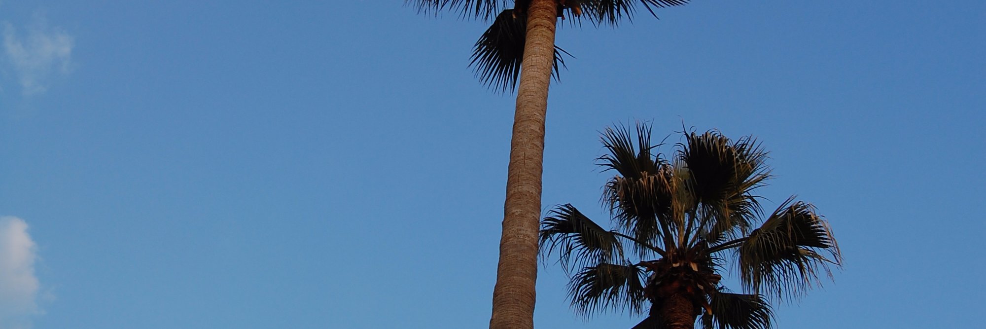 KSimonot's profile banner image