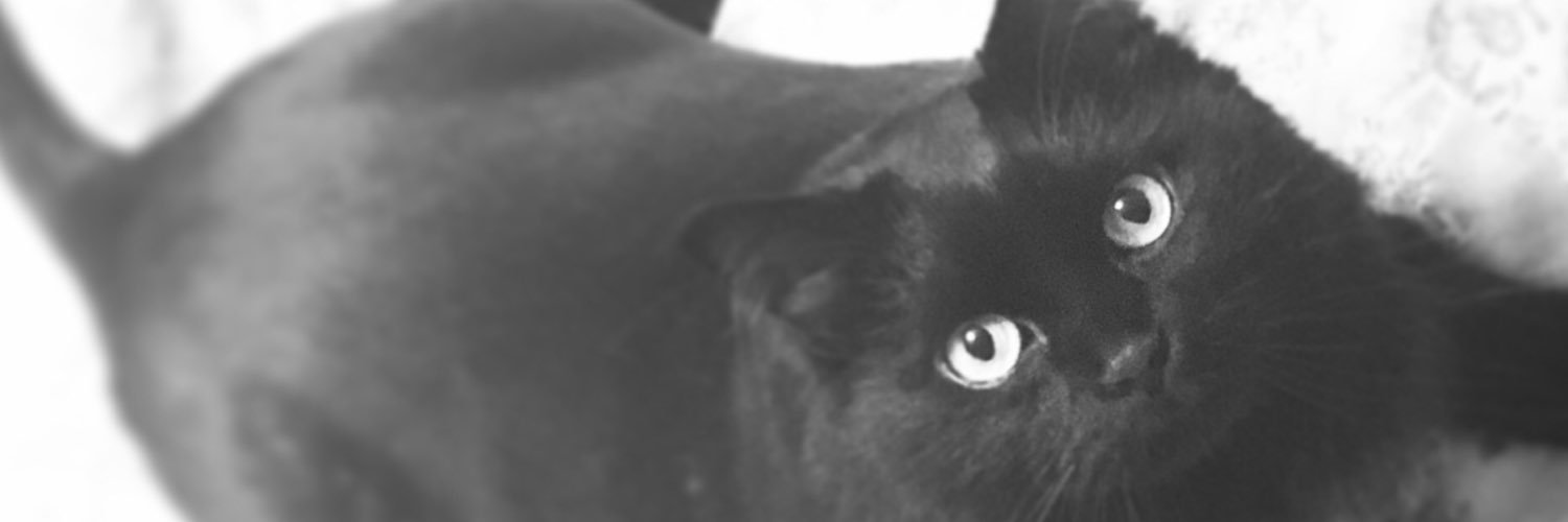 Sweet_Niche's profile banner image