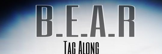 iambearatl banner