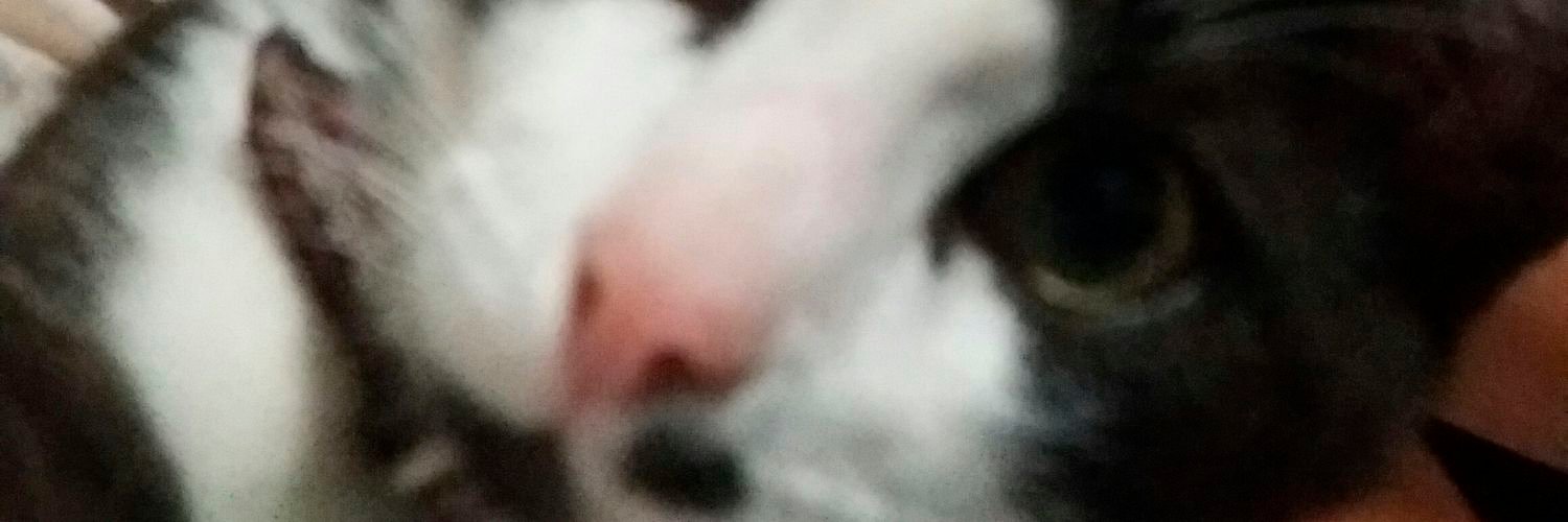 thejotaefe_'s profile banner image