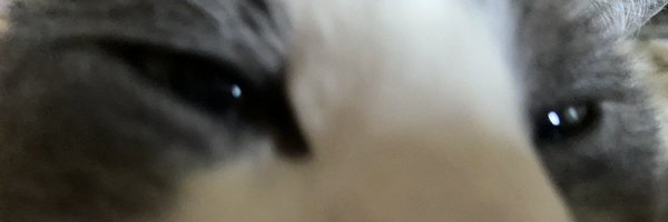 slushysprite Profile Banner