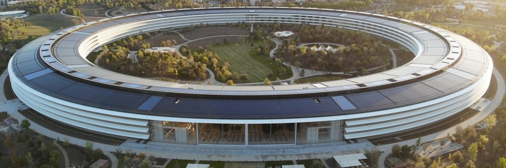 Tim "Mr. Cock" Cook (Parody) (checkmark) banner