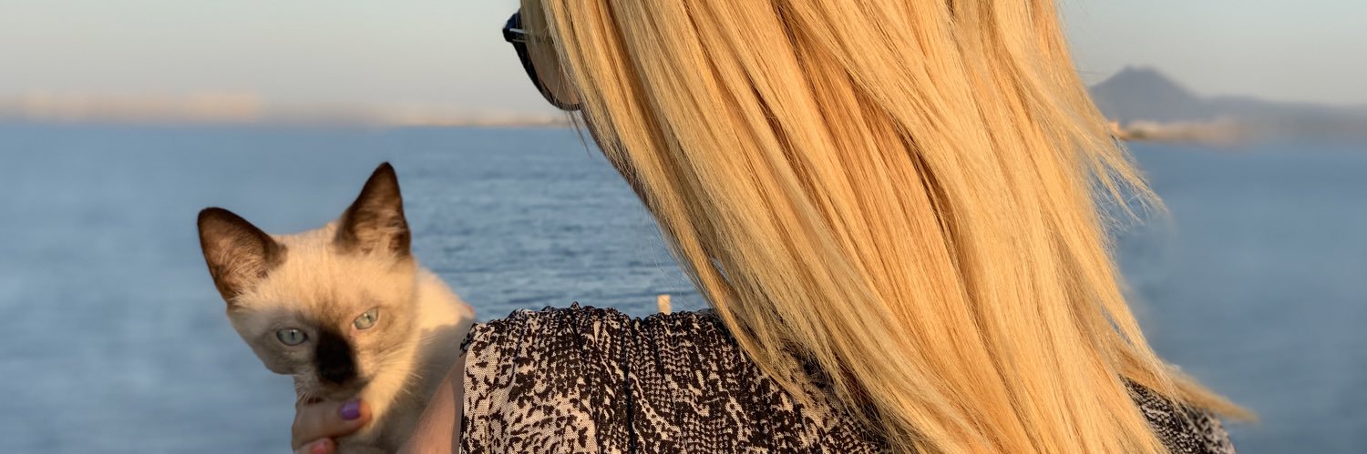 DorsafSeboui's profile banner image