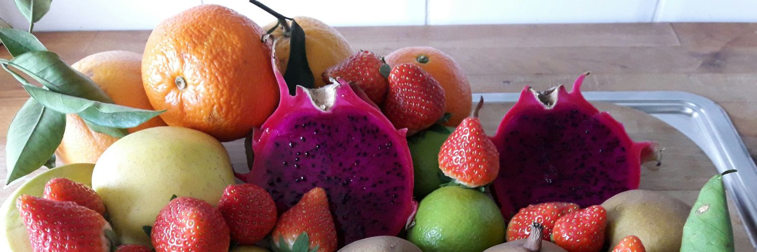 pasy vacciné 4ème dose 12/12/2022 banner