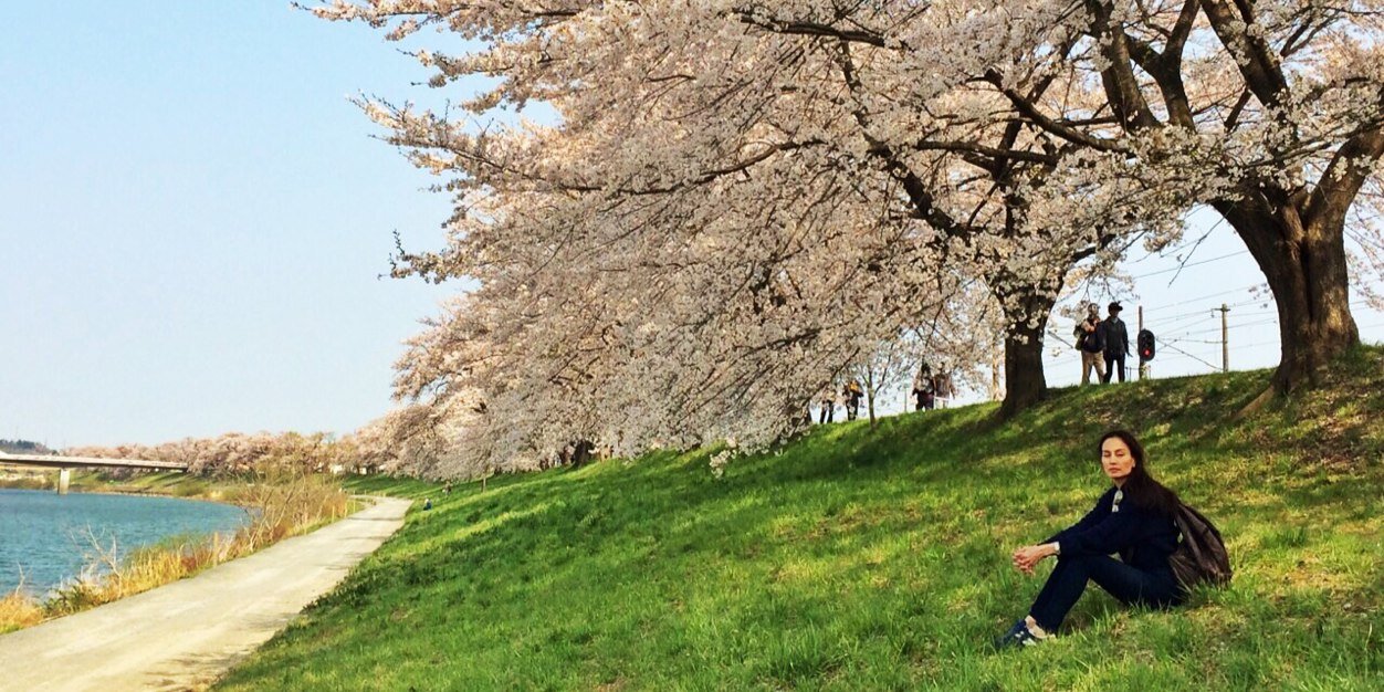 Rpasiri's profile banner image