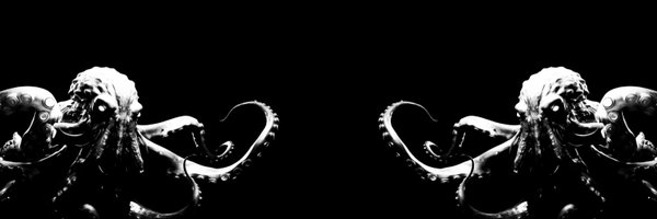 R00S_01 Profile Banner