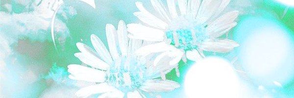 logicmaru Profile Banner