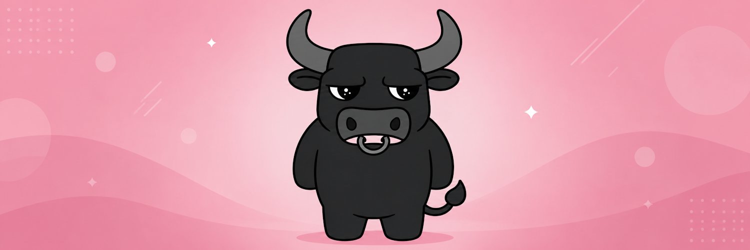 BULLPI_sol's profile banner image