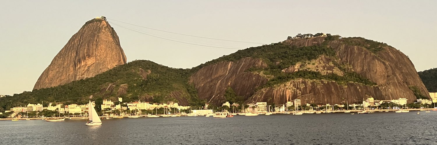 Rodrigo Santos's banner