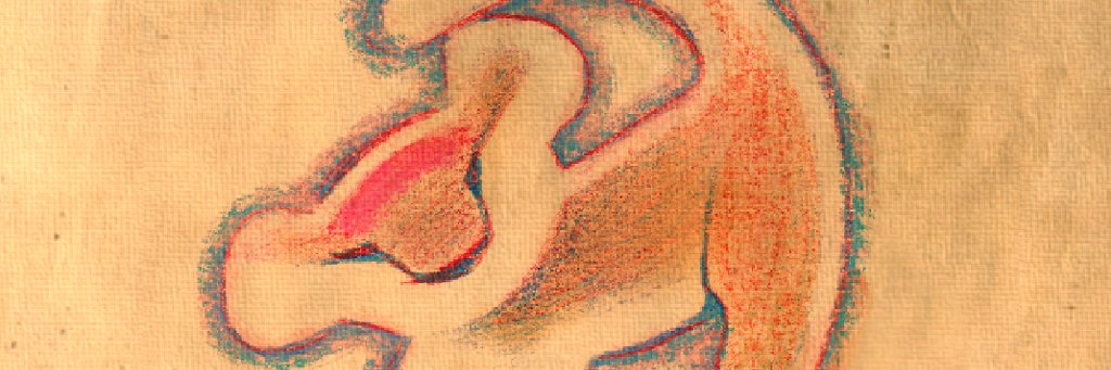 ChiccaMareBlu 💚🤍💖 banner