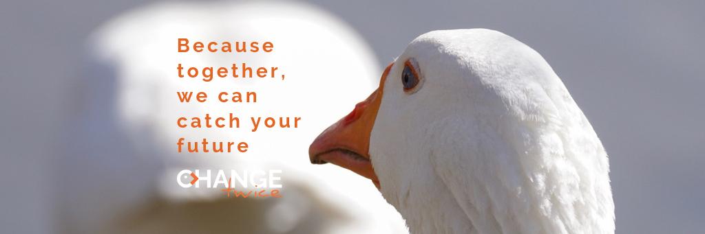 Ria Van Gucht banner