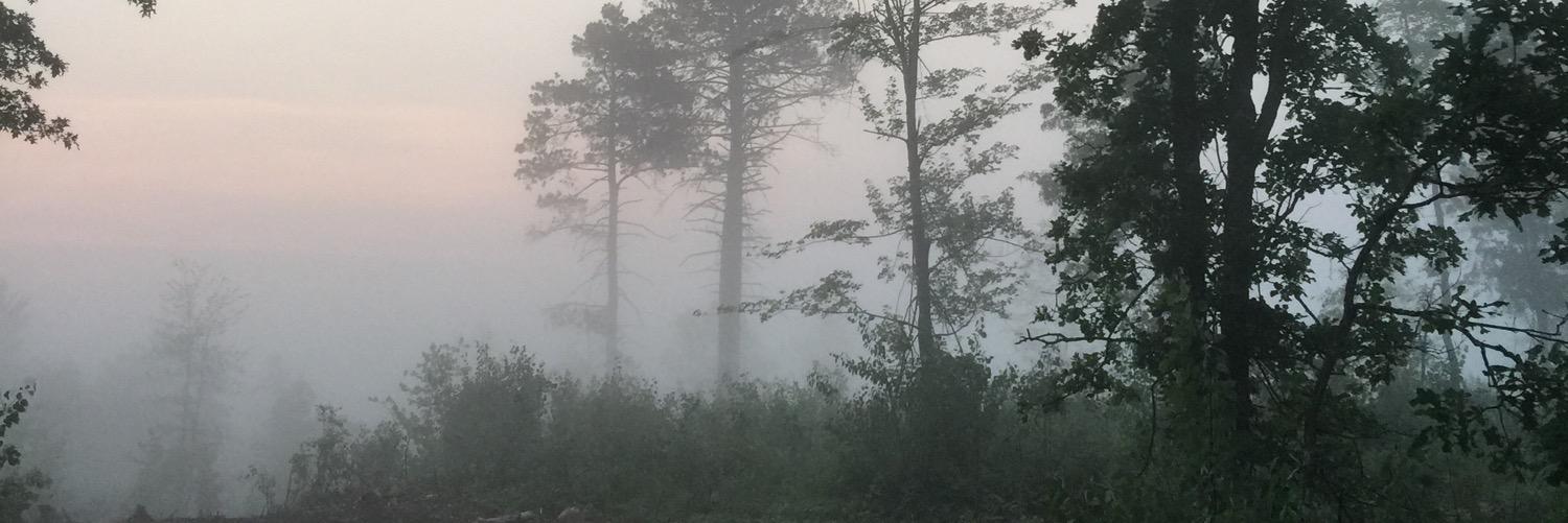MinneVibe's profile banner image