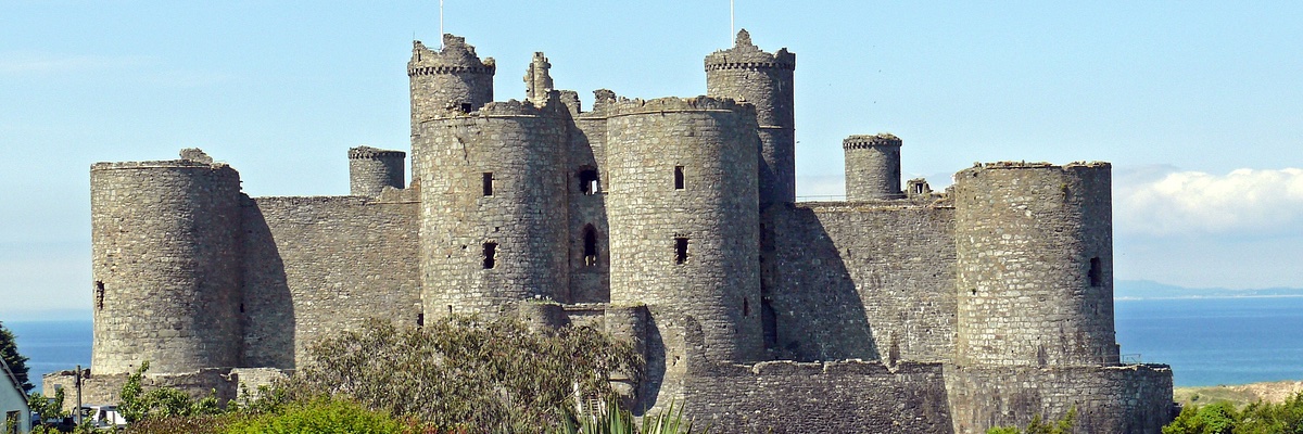 Uprising Nature banner