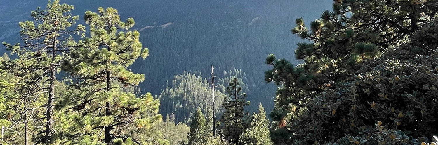 Maraa25's profile banner image