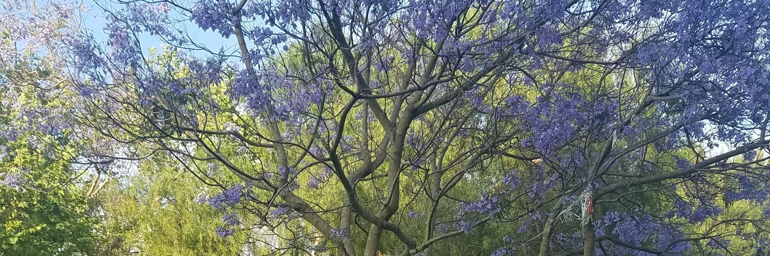 shankarirc's profile banner image