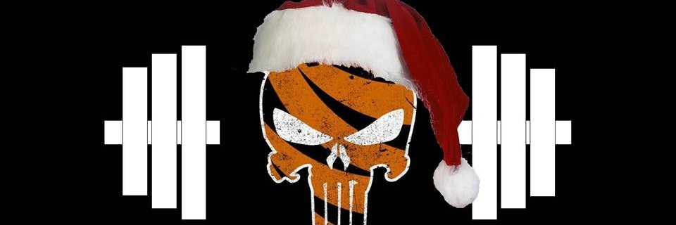 Tiger Power N Speed banner