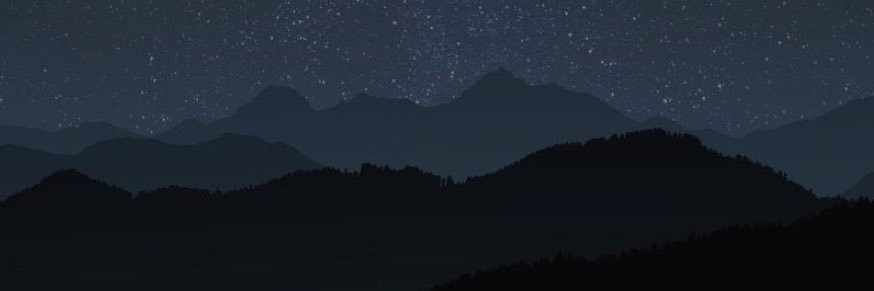 Fox & Co. banner