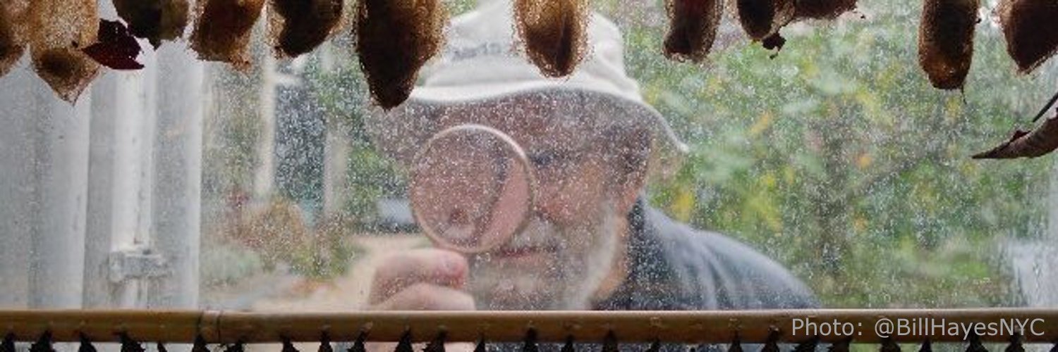 Dr. Laura J. Snyder banner