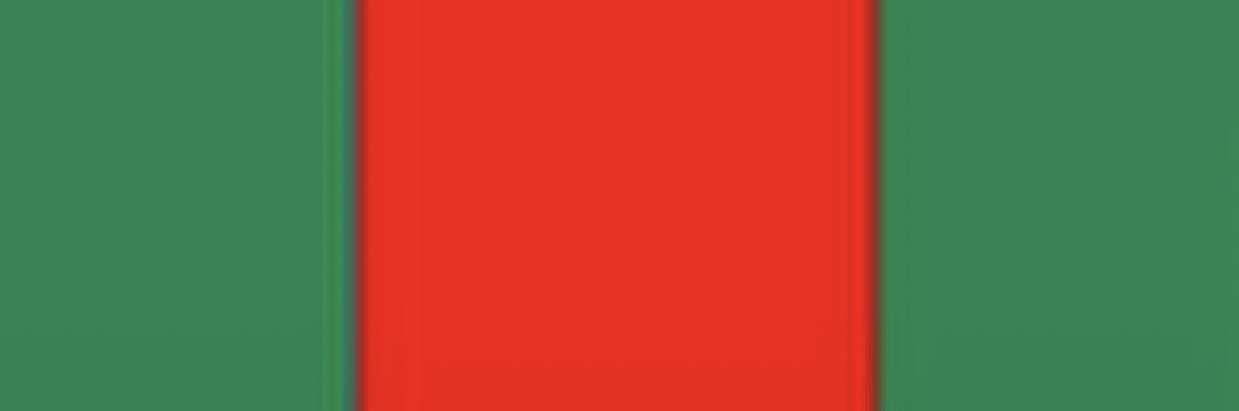 SlimShowz's profile banner image