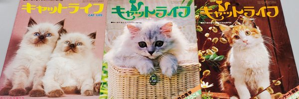 nekomanabe Profile Banner