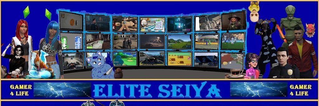 Elite Seiya banner
