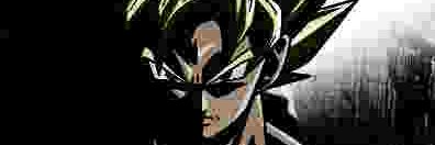 Solid S banner