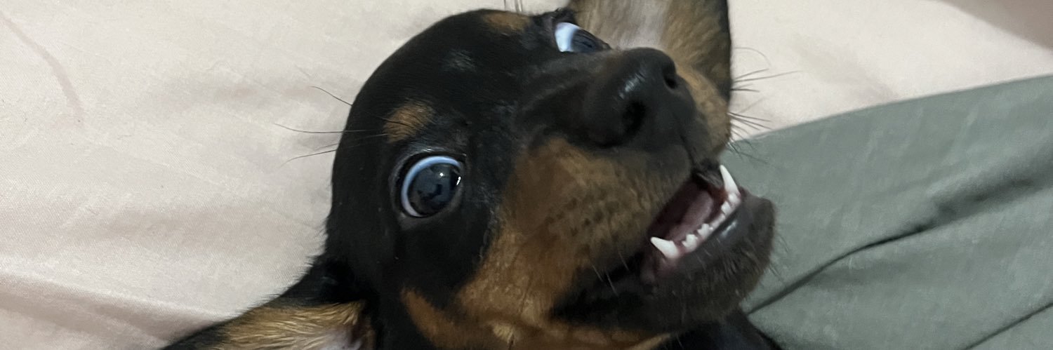 laishonorio_'s profile banner image