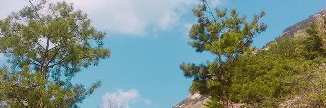 lxzzzzy's profile banner image