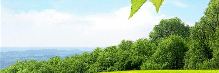 annytalau's profile banner image