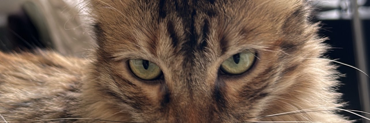Wendycada's profile banner image
