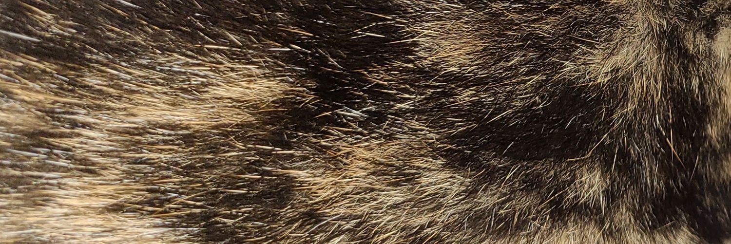 san3n3n's profile banner image