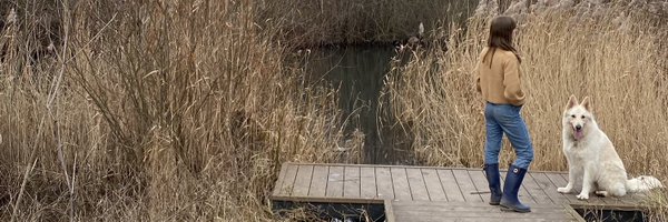 MrsAlinaGhost Profile Banner