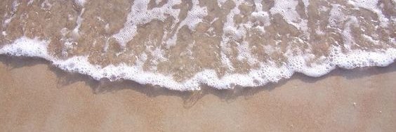 romizetta's profile banner image