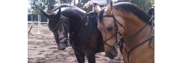 ArletteGarza's profile banner image