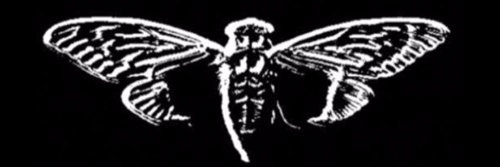 aerith3301's profile banner image