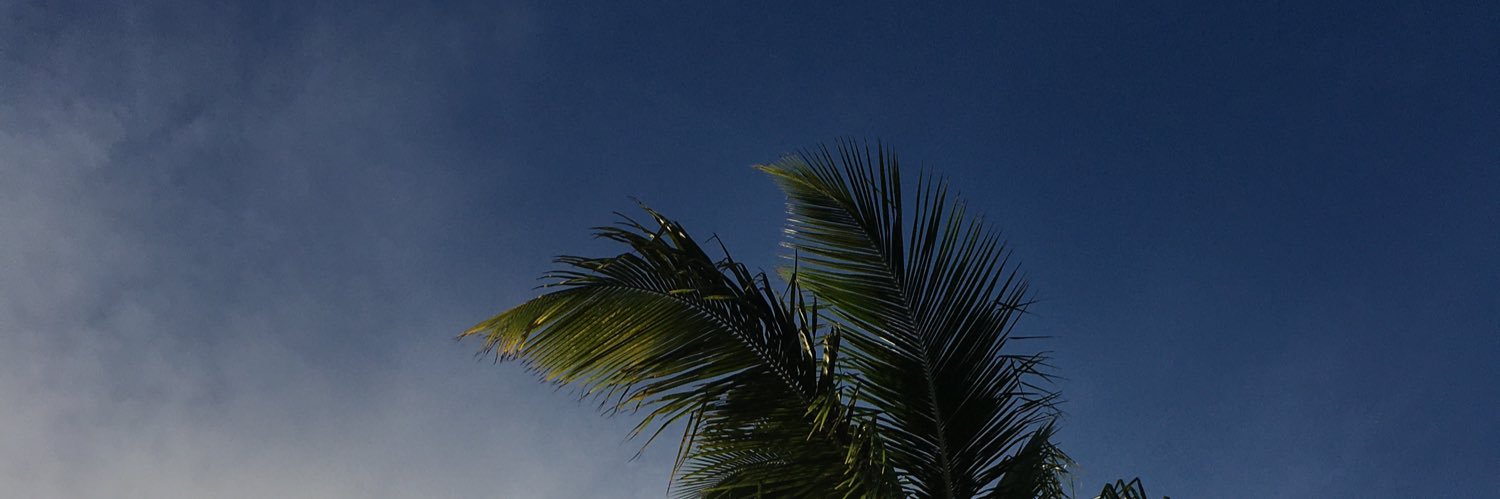 anyescovedo's profile banner image