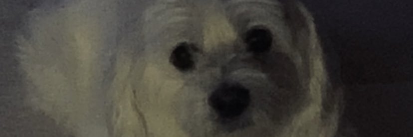 EfeeHos's profile banner image