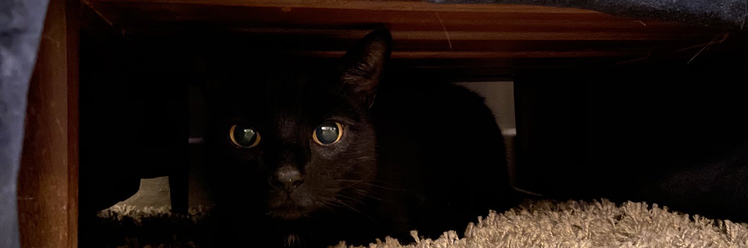 missdaviesSW's profile banner image