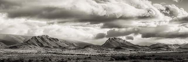 Gareth Williams banner